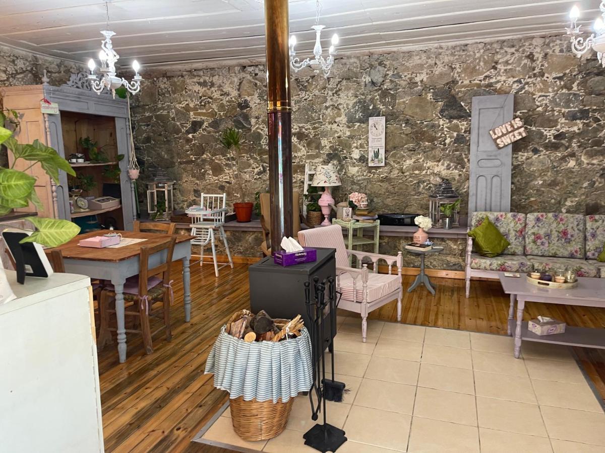 Holiday House Продромос Екстер'єр фото