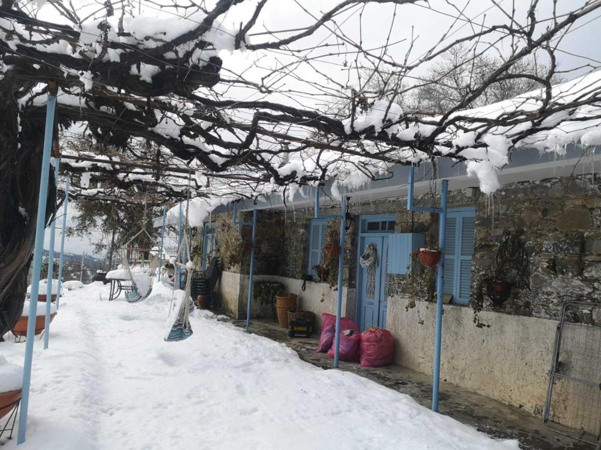 Holiday House Продромос Екстер'єр фото