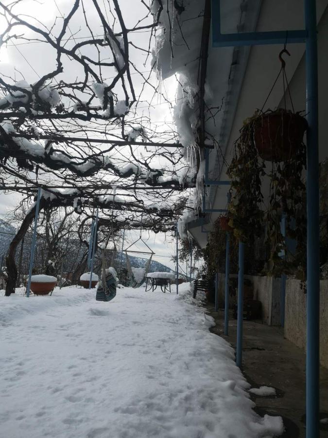 Holiday House Продромос Екстер'єр фото