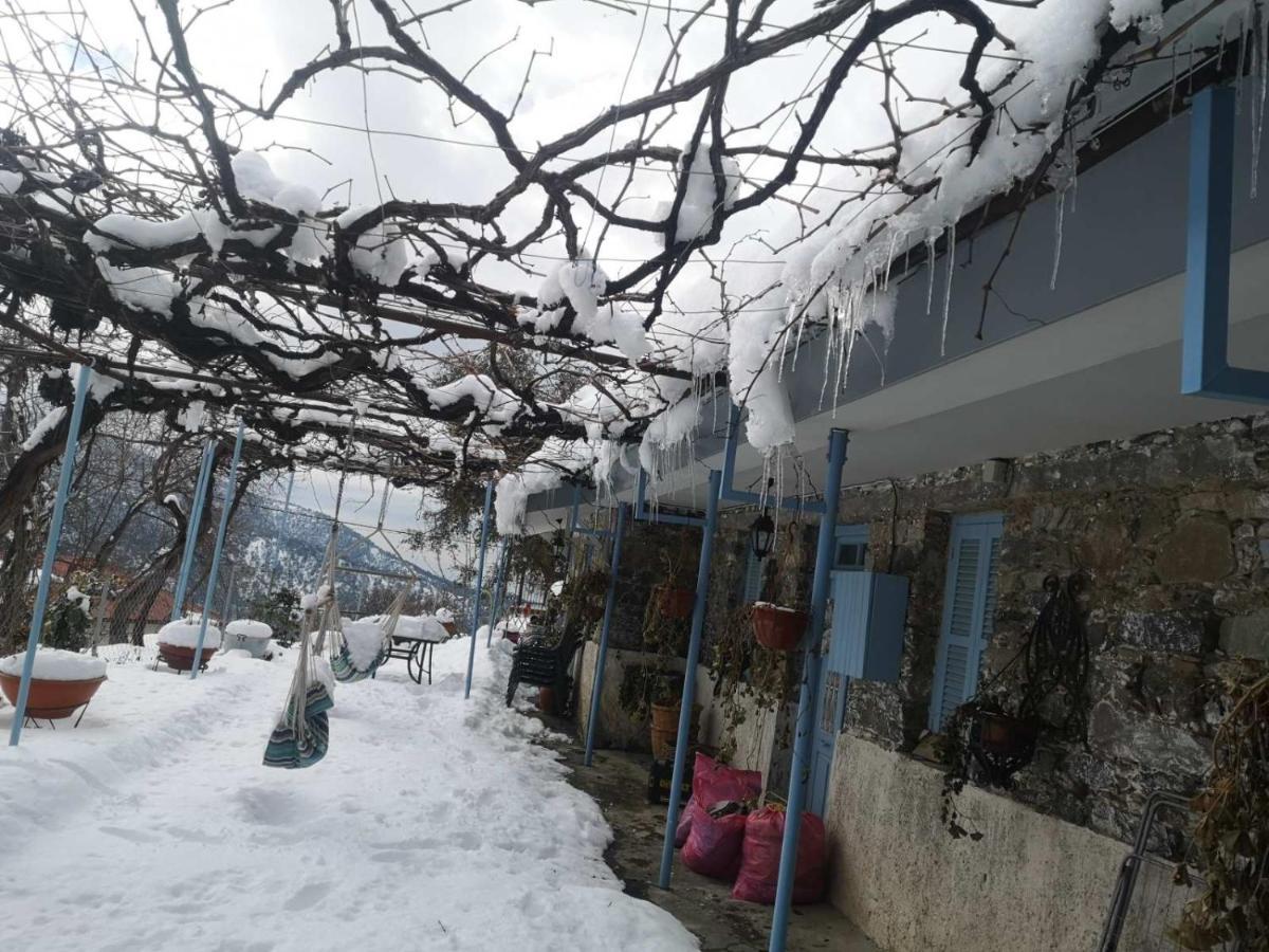 Holiday House Продромос Екстер'єр фото