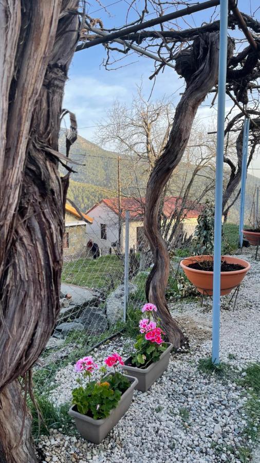 Holiday House Продромос Екстер'єр фото